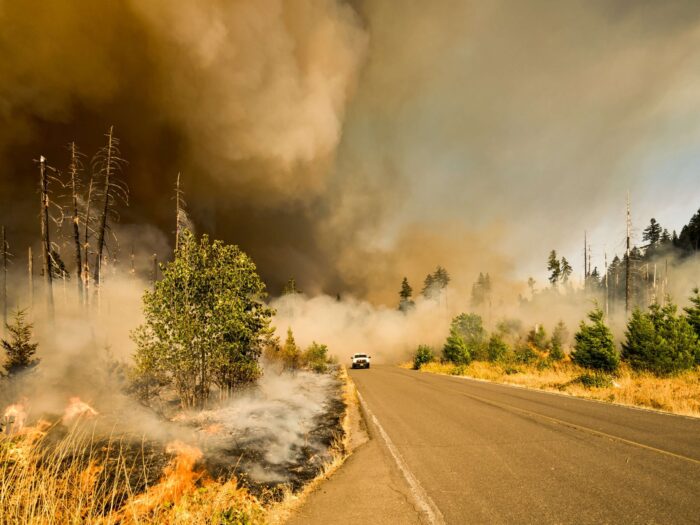 A wildfire close to a road